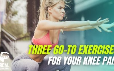 Three Go To Exercises for Knee Pain